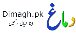 Dimaghlogo2 dimaghpk