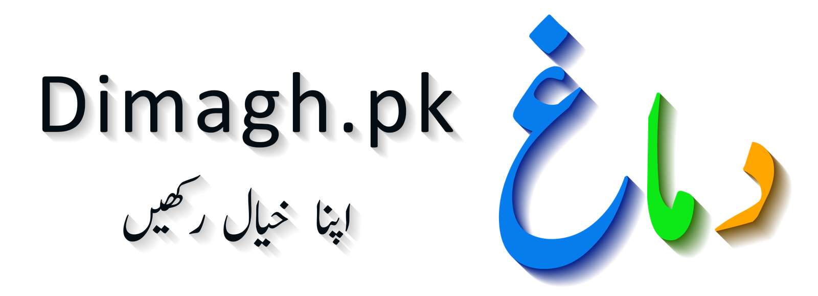 dimagh.pk