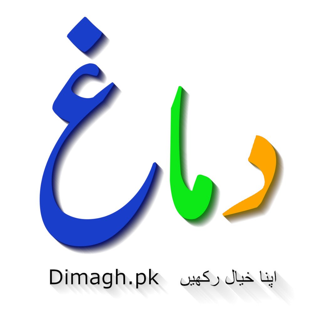 dimagh.pk