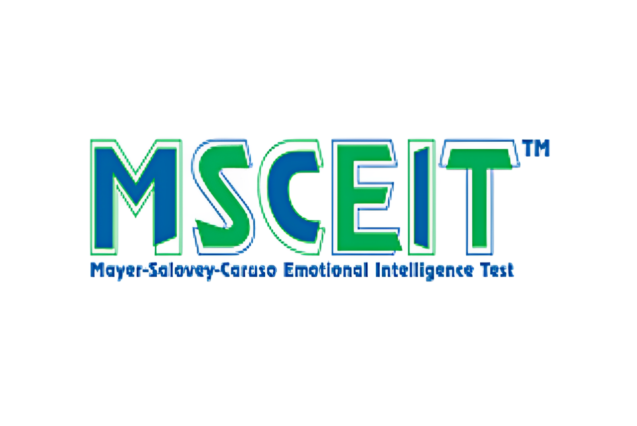 Mayer Salovey Caruso Emotional Intelligence Test MSCEIT کی ایک بصری نمائندگی جو جذباتی ذہانت کی پیمائش کے لیے استعمال ہوتی ہے