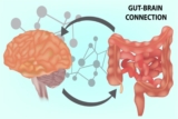 آنتوں کی صحت کا ذہنی بہبود میں کردار    (The Role of Gut Health in Mental Well-being)
